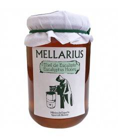 Miel Mellarius Eucalipto 500 gr