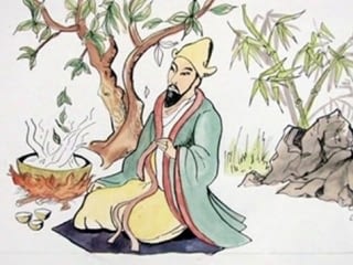 Historia del Kombucha