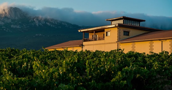 Bodegas Pujanza